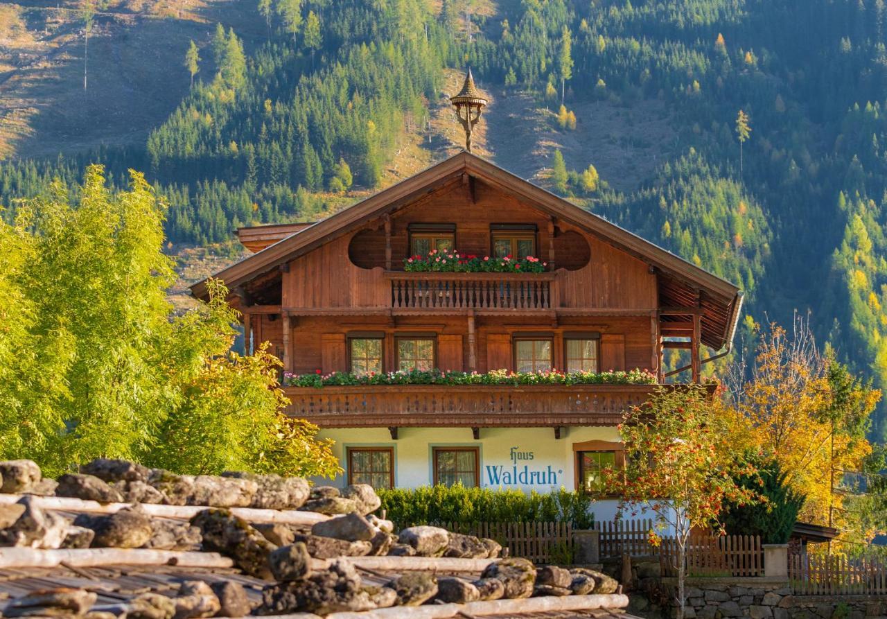 Gaestehaus Waldruh Brandberg Zewnętrze zdjęcie