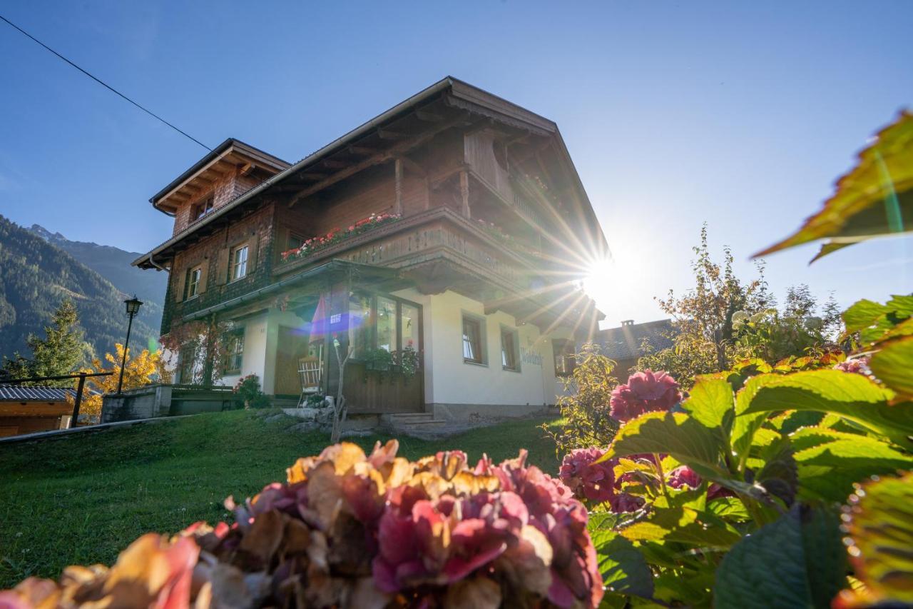 Apartament Gastehaus Waldruh Brandberg Zewnętrze zdjęcie